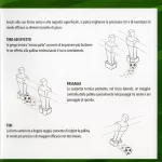 Tempo Soccer Shoes – Csocsó figura cipő készlet