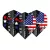 Dart toll Winmau Prism Zeta Leonard Gates Soulger Flag USA