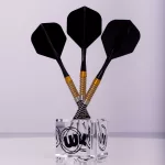 Darts szett tartó Winmau, átlátszó - egy szett tárolására