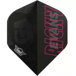 Darts szett steel Bull's Ricky Evans E2, 21g, 80% wolfrám
