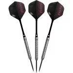 Darts szett steel Bull's Ricky Evans E2, 23g, 80% wolfrám