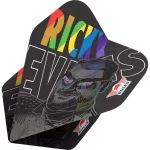 Darts szett steel Bull's Ricky Evans 25g, 95% wolfrám
