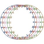 Bull's fém számgyűrű matt színes - 5 db/csomag