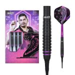 Darts szett soft One80 Jelle Klaasen HD 19g, 80% wolfram