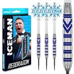 Darts szett steel Red Dragon Gerwyn Price, 21g brass réztestű