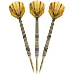 Darts szett steel Shot Alchemy Auro - 25g, 90% wolfram