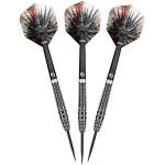 Darts szett Shot steel, Gnarly Smasha 24g, 90% wolfram