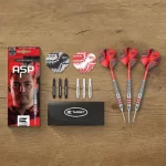 Darts szett steel Target Nathan Aspinall, 22g réztestű brass