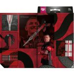 Darts szett TARGET steel SP, Aspinall G2, 22g 95% wolfram