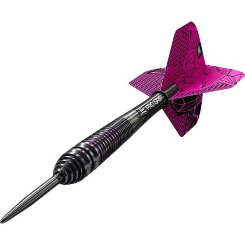 Darts szett steel Target SP Lorraine Winstanley G2, 24g 90% wolfram
