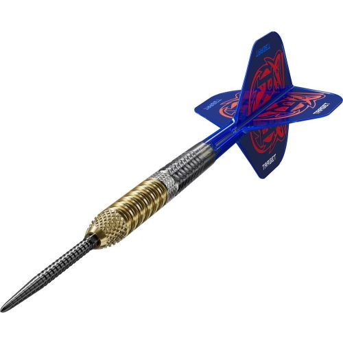 Darts szett steel Target SP Raymond Van Barneveld G6, 21g 95% wolfram