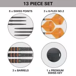 Darts szett steel SP Target Raymond van Barneveld 95K, 21g 95% wolfram