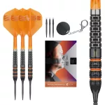 Darts szett steel SP Target Raymond van Barneveld 95K, 25g 95% wolfram