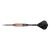 PHIL_TAYLOR_POWER_9FIVE_G5_22G_200932.jpg