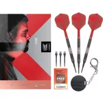 Darts szett soft Target Gabriel Clemens 95K, 19g 95% wolfram