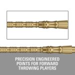 Darts fémhegy TARGET Swiss Point TRB, arany 42mm