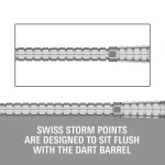 Darts fémhegy Target Swiss Point Chrono Swiss Storm, ezüst 42mm